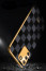 Vaku ® Samsung Galaxy S10 lite Cheron Series Leather Stitched Gold Electroplated Soft TPU Back Cover