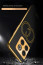 Vaku ® OnePlus 10T 5G Skylar Series Leather Stitched Gold Electroplated Soft TPU Back Cover