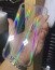 Vaku ® Apple iPhone XS rainbow Shine Heat-Dissipating Glass Shock-Proof Back Cover