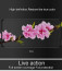 Dr. Vaku ® Vivo V15 5D Curved Edge Ultra-Strong Ultra-Clear Full Screen Tempered Glass