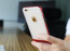 Rock ® Apple iPhone 6 / 6S Royle II Ultra-thin Dual Metal Finish Translucent Soft / Silicon Case