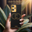 Vaku ® OnePlus Nord CE 2 Lite 5G Skylar Leather Pattern Gold Electroplated Soft TPU Back Cover