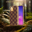 Vaku ® Samsung Galaxy S10 lite Cheron Series Leather Stitched Gold Electroplated Soft TPU Back Cover