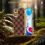 Vaku ® Redmi Note 11 Cheron Series Leather Stitched Gold Electroplated Soft TPU Back Cover