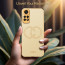 Vaku ® Xiaomi Redmi Note 11 Pro Plus 5G Skylar Leather Pattern Gold Electroplated Soft TPU Back Cover